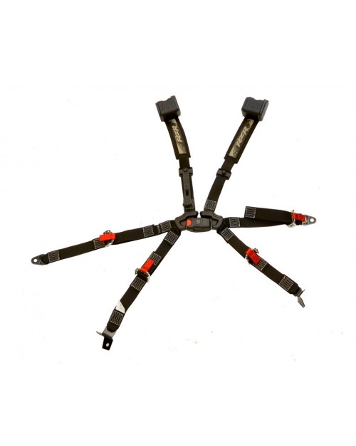 CINTURA LATO GUIDA 6 PUNTI POLARIS RZR 900-1000