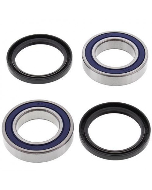 KIT CUSCINETTI ASSALE QUAD ATV KYMCO KXR-MAXXER-MXU
ARTIC CAT DVX 250