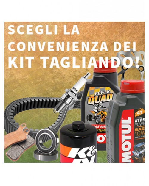 KIT TAGLIANDO POLARIS RZR 800 / 800S