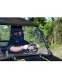 PARABREZZA PLEXIGLASS INTERO  PER RZR 800- 800S -900 XP